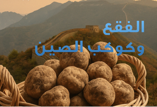 تجارة الصين… رحلة البحث عن الكما ( الفقع ) في سوق التنين!